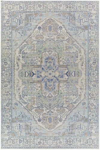 Grey Distressed Vintage Medallion Washable Area Rug for Living Room Dining Kitchen Bedroom Nursery Playroom Traditional Carpet 2x6 Boho Antiqued Non Slip Large Indoor Carpet Bathmat - color: C, size: 2x6ft