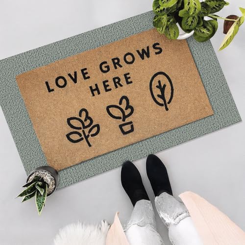 EARTHALL Washable Area Rug 2x3 Ft Non Slip Rugs for Entryway Braided Small Throw Rugs with Rubber Backing Door Mat Indoor Outdoor Entrance Rug for Kitchen Foyer Front Door, Green/Grey - color: Green/Grey, size: 2' x 3' (Rectangular)