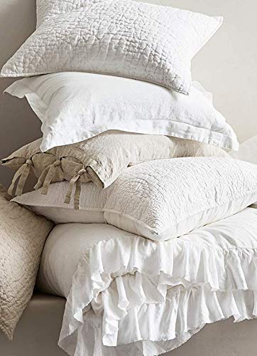 basic home® Hotel-Style Goose Feather Down Euro Pillow Insert for Sofa & Bed - 100% Odorless & Plump Cushion Filler - 233TC Cotton with Inner Liner to Prevent Poking (26x26 Inch) - size: 26x26
