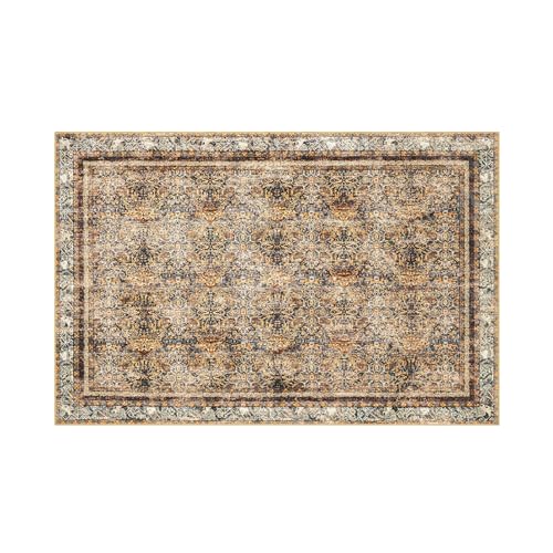 Phantoscope Washable Area Rug 4'x6' Non-Slip, Vintage Neutral Rugs for Living Room, Bedroom, Dining Room, Distressed Boho Floral Medallion Pattern, Low-Pile Foldable Carpet, Brown/Charcoal Spice - color: Brown/Charcoal Spice, size: 4' x 6' (Rectangular)