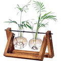 Kingbuy Glass Desktop Planter with Retro Wooden Stand, 2 Bulbs | Plant Terrarium Vase, Indoor Office Desk Decor, Accessories - size: 2 Bulb Vase