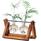 Kingbuy Glass Desktop Planter with Retro Wooden Stand, 2 Bulbs | Plant Terrarium Vase, Indoor Office Desk Decor, Accessories - size: 2 Bulb Vase