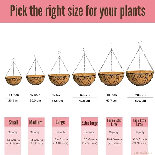 LaLaGreen Hanging Baskets for Plants (10 Inch, 2 Pack) Small Hanging Flower Pots with Coco Liner, Black Metal Wire Round Plant Holder with Hanger Hook Chain Outdoor Deck Patio Balcony Garden Decor - size: 10" x 2 Pack