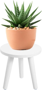 Samll Plant Stand Indoor/Outdoor for Plants,Wood White Planter Stands Holder Mid Century Pedestal Shelf,Sturdy Short Flower Rack Boho Short Plant Table 8.6"Tall Wooden Plants Stool for Garden,Patio