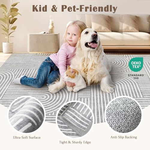 LUXRUG 3x5 Washable Area Rug - Small Entryway Rug Non-Slip Grey Abstract Rainbow Kitchen Rugs Modern Boho Carpet Throw Rugs for Living Room Bedroom Bathroom Dorm Nursery Room Home Decor - color: Grey, size: 3' x 5' (Rectangular)