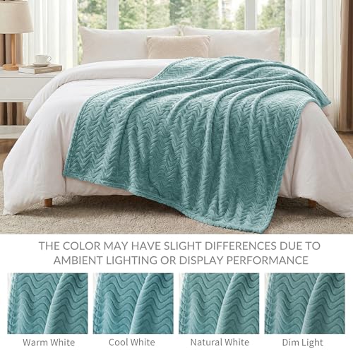 Exclusivo Mezcla Fleece Throw Blanket for Couch, Lightweight Jacquard Bed Blanket for Spring Summer, Soft Cozy Breathable Throws, Celadon, 50x70 Inches - color: Celadon, size: Throw ( 50x70 IN )