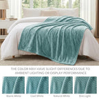 Exclusivo Mezcla Fleece Bed Blanket Queen Size, Lightweight Jacquard for Spring Summer, Soft Cozy Breathable Blankets, Celadon, 90x90 Inches - color: Celadon, size: Queen ( 90x90 IN )