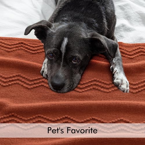 MIULEE Rust Knitted Throw Blanket for Couch Terracotta Boho Textured Cozy Woven Rustic Blanket with Tassels for Sofa Chair Bed Living Room Farmhouse Decor Acrylic Wave Pattern 50"x60" - color: Rust, size: 50" x 60"