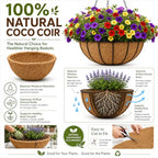 Y&M 2pcs 10inch Round Coconut Fiber Liner, Natural Coir Replacement for 10'' Hanging Planter Basket - color: 2pcs 10in Round