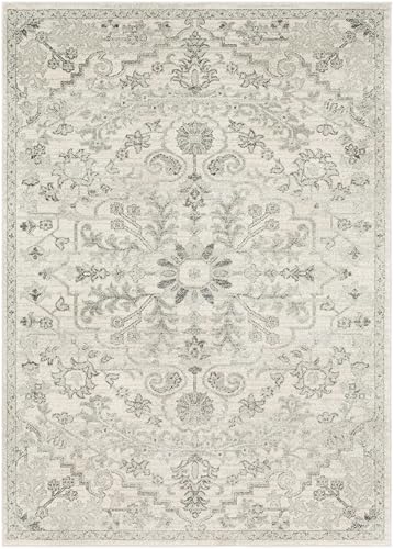 Livabliss Area Rugs - 4x6 Odelia Vintage Boho Gray Charcoal Area Rug for Living Room Bedroom - Floral Medallion Stain Resistant Carpet for Kitchen, Nursery, Office (3'11" x 5'7") - color: Beige, size: 3'11" x 5'7" (Rectangular)
