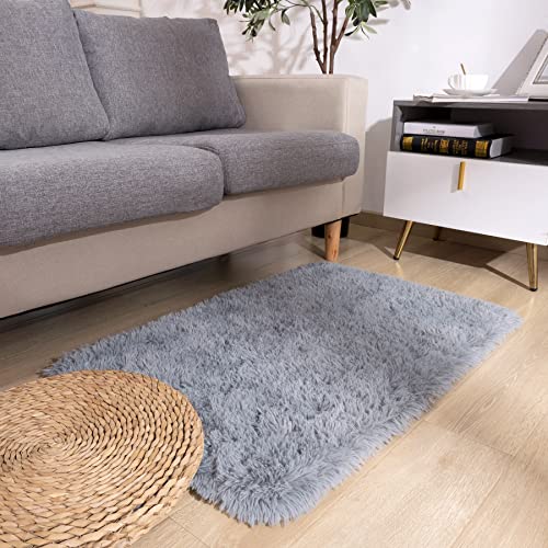 DETUM Grey Small Rug 2X3 Fluffy Rugs for Bedroom Kicthen Entryway Hallyway Washable Gray Area Rug Super Soft Throw Rug Room Decor Plush Rugs Kids Room Dorm - color: Grey, size: 2 x 3 feet