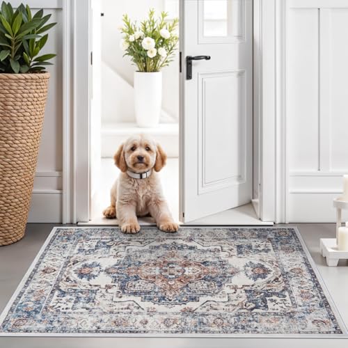 Hallway Washable Runner Rug - 2x3 Kitchen Rugs Entryway Rug Runner Vintage Soft Floor Mat Non Slip Indoor Farmhouse Carpet for Bathroom Living Room Bedroom (2 X 3, Brick) - color: Brick, size: 2' x 3' (Rectangular)