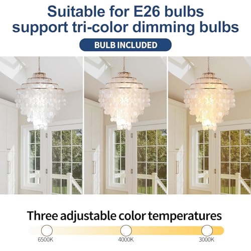 Coastal Capiz Shell Chandelier 24 inch Gold Natural Seashell Farmhouse Boho Chandelier 4-Light Pendant Light Fixture for Living Room Foyer Kitchen Island Entryway Dining Room Bedroom,LED Bulb Included - size: 24 inch