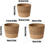 Handwoven Seagrass Planter Baskets - 3 Sizes Small Medium Large (Medium) Straw Plant Pot Covers for Indoor Plants Home Storage Rustic Boho Decor Organize Towels Toys Toiletries