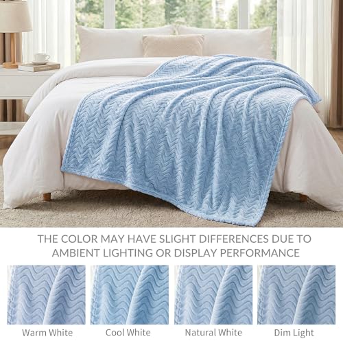 Exclusivo Mezcla Fleece Bed Blanket Queen Size, Lightweight Jacquard for Spring Summer, Soft Cozy Breathable Blankets, Light Blue, 90x90 Inches - color: Light Blue, size: Queen ( 90x90 IN )