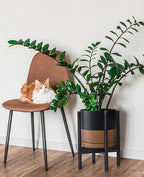 D'vine Dev Ceramic Planter with Ebony Stand - 10 Inch Modern Round Flower Pot with Wood Planter Holder, Black/Speckled Tan, 55-B-L-7 - color: Black/Speckled Tan Pot + Ebony Stand, size: 10 Inch