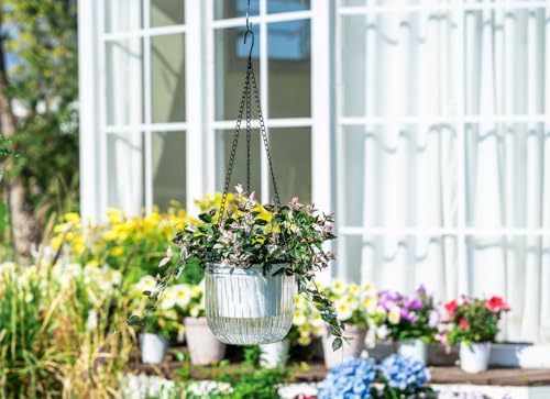 Josteve 6.5 Inch 2 Pcs Self Watering Hanging Planter Indoor Plant Pots Drainage Holes, Outdoor Hanging Planters Flower Pot Basket, Visible Water Level, Plant Hanger Home Decor, Gardening - color: White, size: 2*6.5 inch