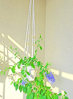Macrame Plant Hanger Extra Long (52") Indoor Plant Holder with Beads, no Tassel- Long Plant Hanger for Tall Ceiling- Hanging Plant Holder for 6”-14”Pots -(1 Pack)