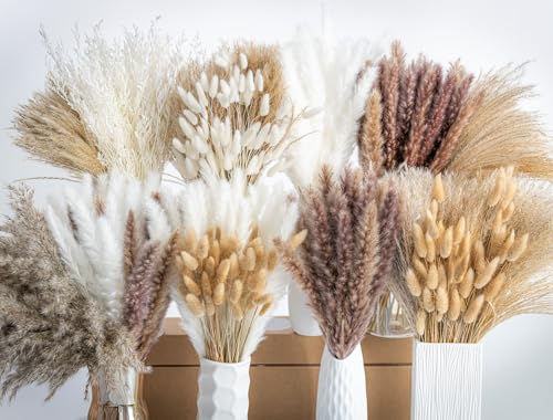 650PCS Natural Dried Pampas Grass Boho Home Decor Bouquet Phragmites Dried Flowers Bouquet for Wedding Floral Arrangements Home Decorations (650PCS) - size: 650PCS