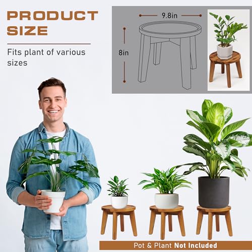 Demigo Indoor Plant Stand, Acacia Wooden Decorative Plant Shelf with Spill-Proof Tray, Stable 8” Tall Flower Holder for Heavy Pots, Gardening Display for Decor Living Room Patio - Natural Brown - color: Natural Acacia, size: Medium