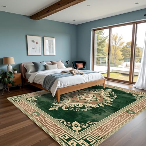 Modern Greek Key Texture Green and Brown Rug 2x3 Vintage Abstract Floral Rugs for Living Room Bedroom Nursery Classroom Guestroom Large Carpet Under Dining Table Soft Comfort Low Pile Mats - color: A, size: 2x3