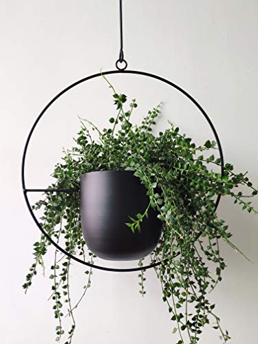 RISEON Boho Black Metal Plant Hanger,Metal Wall and Ceiling Hanging Planter, Modern Planter, Mid Century Flower Pot Plant Holder, Minimalist Planter for Indoor Outdoor Home Decor - color: Black, size: Round shape