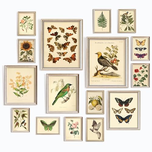 97 Decor LARGE 11x14 Vintage Botanical Wall Art Decor - Plant Posters For Room Aesthetic, Vintage Botanical Prints Nature Floral Pictures Butterfly Bird Art For Home Bedroom (Unframed) - size: UNFRAMED