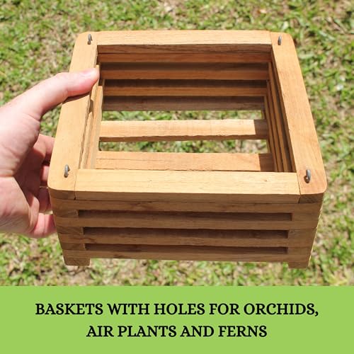 Set of 2 Wooden Orchid Baskets with Hangers, Hanging Vanda Baskets for Outside - size: Set of 2