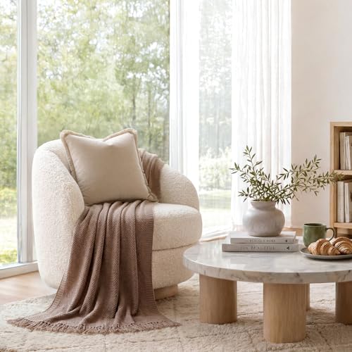 HOMEIDEAS Neutral Beige Velvet Throw Pillow Covers 18x18 Set of 2, Luxury Decorative Pillow Covers with Short Fringe Tassels, Modern Farmhouse Boho Cushion Covers for Sofa Couch Bed Home Decor - color: Beige, size: 18" x 18" (Pack of 2)