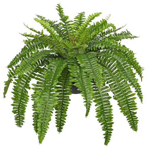 Hollyone Artificial Fern Plants in Pot 34.6" Large Artificial Boston Fern 39 Leaves for Outdoors & Indoor Faux Potted Plant Fake Ferns Bush Plant for Patio Garden Farmhouse Porch Home Decor Green - color: Black Pot - Green Large