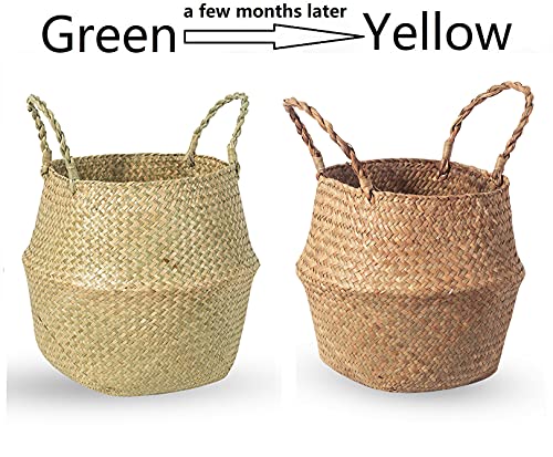 BrilliantJo Seagrass Belly Basket, Set of 2 Woven Plant Pot Holder handmade Home Decor for Storage Plants Picnic Grocery Medium(10.63 x 9.44 inch) - size: M(Set of 2)