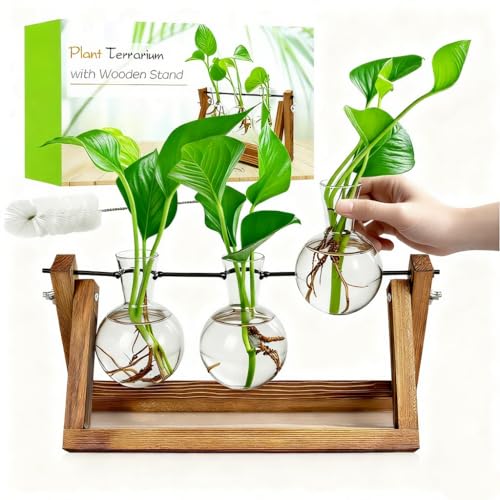 Renmxj Plant Propagation Stations with Wooden Stand & 3 Glass Bulb Vases - Plant Terrarium for Indoor Plants, Home Office Desk Decor, Gardening Gifts for Women Mom, Birthday Gifts for Plants Lovers - size: 3 Bulb Vase