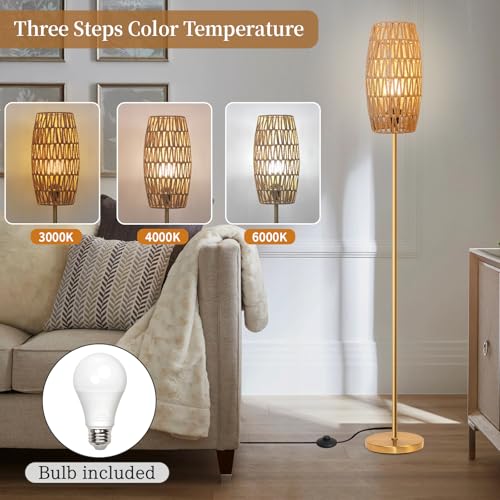 Ruiever Floor Lamp for Living Room,Farmhouse Floor lamp,Modern Standing lamp with Hand-Worked Rattan Shade (Drum Rattan Shade Body Gold Color-3 Color Bulb) - style: Drum Rattan Shade Body Gold Color-3 Color Bulb