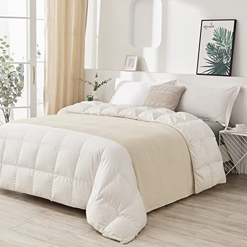 Longhui bedding 100% Cotton Knitted Throw Blanket – Cream, Soft & Cozy, Machine Washable, 51"x63" – Perfect for Living Room, Couch, Sofa, Bed or Travel - color: Cream, size: 51" x 63", Standard