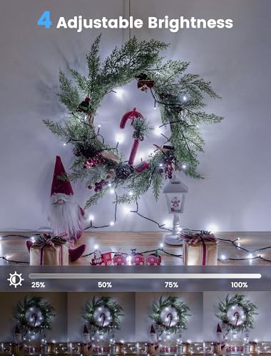 Hopolon White Christmas Lights Outdoor, 33 FT 100 LED Connectable Christmas Tree Lights Green Wire with Remote, 8 Modes Waterproof Plug in Twinkle String Light for Indoor Wedding Party Xmas Decor - color: Cool White, size: 100 LED with Remote