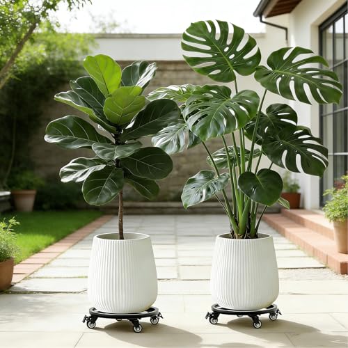 12 Inch Plant Caddy with Wheels, 2Pack Heavy Duty Plant Stand with Wheels, Metal Rolling Plant Stands for Pots Planter Holds Up to 400Lbs