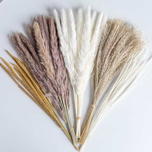 70PCS Natural Dried Pampas Grass Boho Home Decor Bouquet Phragmites Dried Flowers Bouquet for Wedding Floral Arrangements Living Room Decorations (70PCS) - size: 70 Pcs