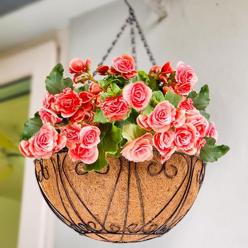 LaLaGreen Hanging Baskets for Plant Outdoor (18 Inch, 2 Pack) Large Black Metal Wire Hanging Planter with Coco Liner Round Flower Pot Hook Holder Hanger Deck Porch Modern Garden Balcony Country Decor - size: 18" x 2 Pack