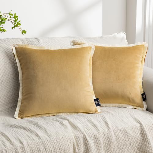 Phantoscope Pack of 2 Velvet Decorative Throw Pillow Covers, Double-Sided Tassel Trimmed Design, Soft Luxury Velvet Pillows Square Cushion Case for Couch Sofa Bed, Beige, 18 x 18 inches 45 x 45 cm - color: Beige/Cream