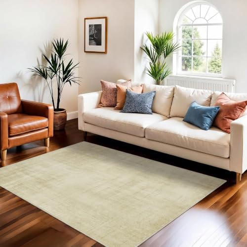 Joydeco 3x5 Area Rugs for Living Room Classic, Beige | Non Slip Machine Washable Neutral Low Pile for Bedroom Dining Room Home Office Pet & Child Friendly - color: Beige, size: 3' x 5' (Rectangular)