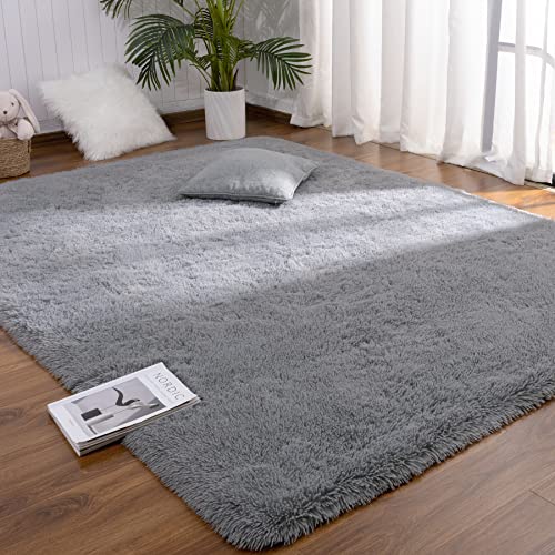 DETUM Grey Small Rug 2X3 Fluffy Rugs for Bedroom Kicthen Entryway Hallyway Washable Gray Area Rug Super Soft Throw Rug Room Decor Plush Rugs Kids Room Dorm - color: Grey, size: 2 x 3 feet