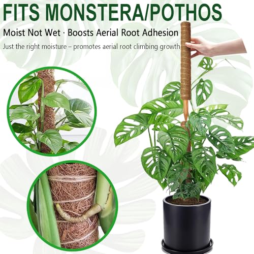 Soupiar 2 Pack 22 Inch Stackable Moss Pole - Thick & Sturdy Natural Coir Totem Plant Support & Garden Stakes for Monstera & Pothos, Indoor Climbing Vining Houseplants, 38" H Max - color: 2*22 inch