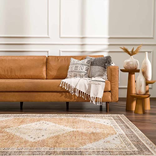 Hauteloom Ferdinand Living Room, Bedroom Machine Washable Area Rug - Farmhouse - Light Brown, Dark Brown, Light Blue - 5'3" x 7' - size: 5'3" x 7' (Rectangular)