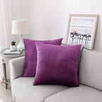 NiNi ALL Decorative Throw Pillow Covers Velvet 22x22 Inch Pack of 2 Purple Cushion Covers Soft for Couch Sofa Bedroom Living Room Outdoor