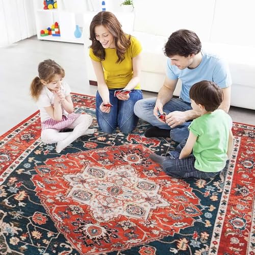 Vintage Bohemian Area Rug for Living Room, Retro Boho Rug Bedroom Indoor Print Carpet Large Size Rug Kitchen Dining Room Mat 1x3(ft)
