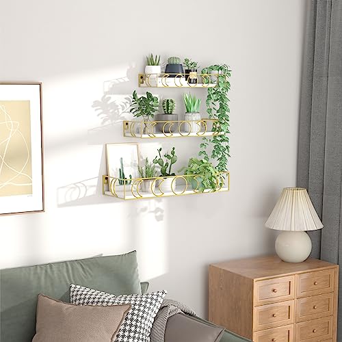 PHAREGE Moon Phase Floating Shelves White Gold, Set of 3 Small Decorative Wall Shelves for Book Plant Storage, Crystal Figurine Collectibles Display Shelf for Bedroom Kid Room - color: White Gold
