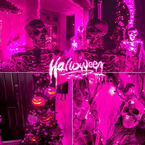 Hopolon Purple Halloween Mini String Lights,2PACk 50Count Incandescent Christmas Lights Green Wire,13FT Connectable Tree Lights for Indoor Outdoor Halloween,Valentines,Patio,Party,Home Decor,Purple - color: Purple,Green Wire, size: 2PACK, 50 count