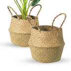 Seagrass Belly Basket, Set of 2 Woven Plant Pot Holder Handmade Home Decor for Storage Plants Picnic Grocery Large(12.6 x 11.02 inch) - size: L(Set of 2)