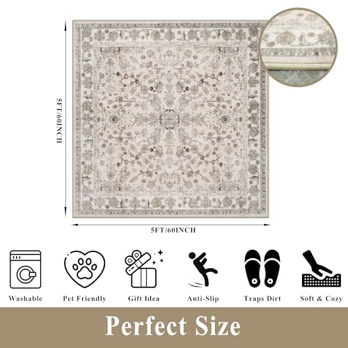 5x5 Square Washable Rug for Living Room: Non Slip Indoor Entryway Foot Carpet for Kitchen, Boho Soft Beige 5ftx5ft Low Pile Neutral Area Rug for Dining Room Bathroom (Beige, 5x5) - color: Beige, size: 5' x 5' (Square)
