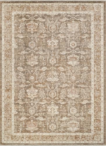 Abani Oriental & Vintage Area Rug - 4'x6' Brown Rectangle Rug for Living Room & Bedroom - Alara Vintage Collection - size: 4' x 6'5" (Rectangular)
